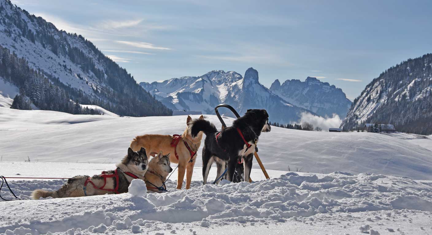 Refuge Haute Savoie Notre Dame des Neiges Plateau des Glières Refuge Haute Savoie Notre Dame des Neiges Plateau des Glières