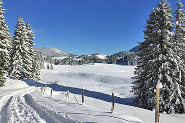 Le repas des montagnards, rien de tel après une bonne rando... Restaurant situé sur le plateau des Glières en Haute Savoie arvimedia