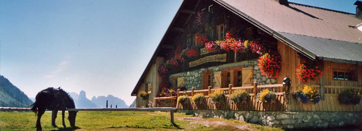 été comme hiver notre gîte vous accueille pour toutes vos fêtes et sortie entre amis Notre Dame des Neige Plateau des Glières
