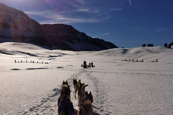 Le chalet se situe sur le parcours de ski de fond du plateau des Glières