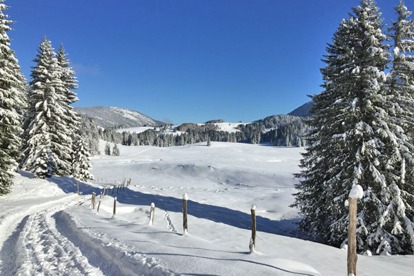 Le repas des montagnards, rien de tel après une bonne rando... Restaurant situé sur le plateau des Glières en Haute Savoie arvimedia